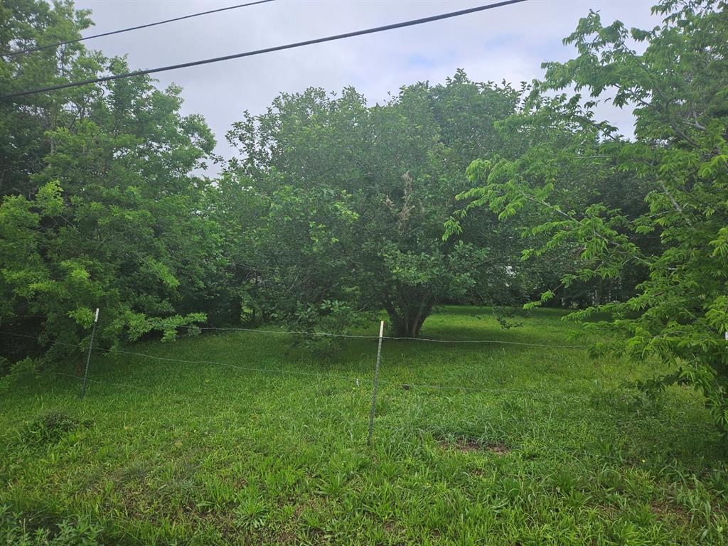 4521 Maggie Street, Houston, Texas image 7