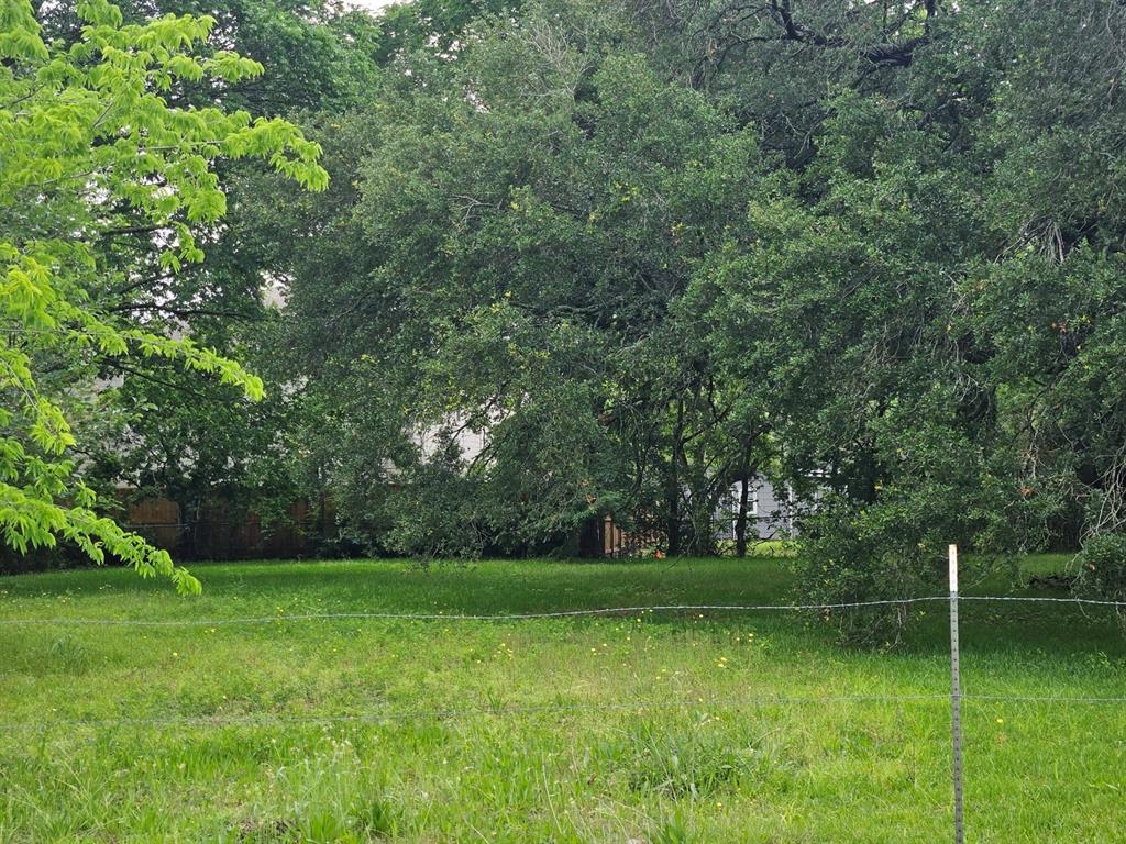 4521 Maggie Street, Houston, Texas image 4
