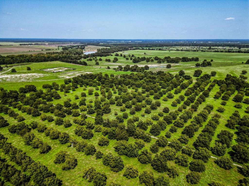 16726 Hwy 21 East, Midway, Texas image 5