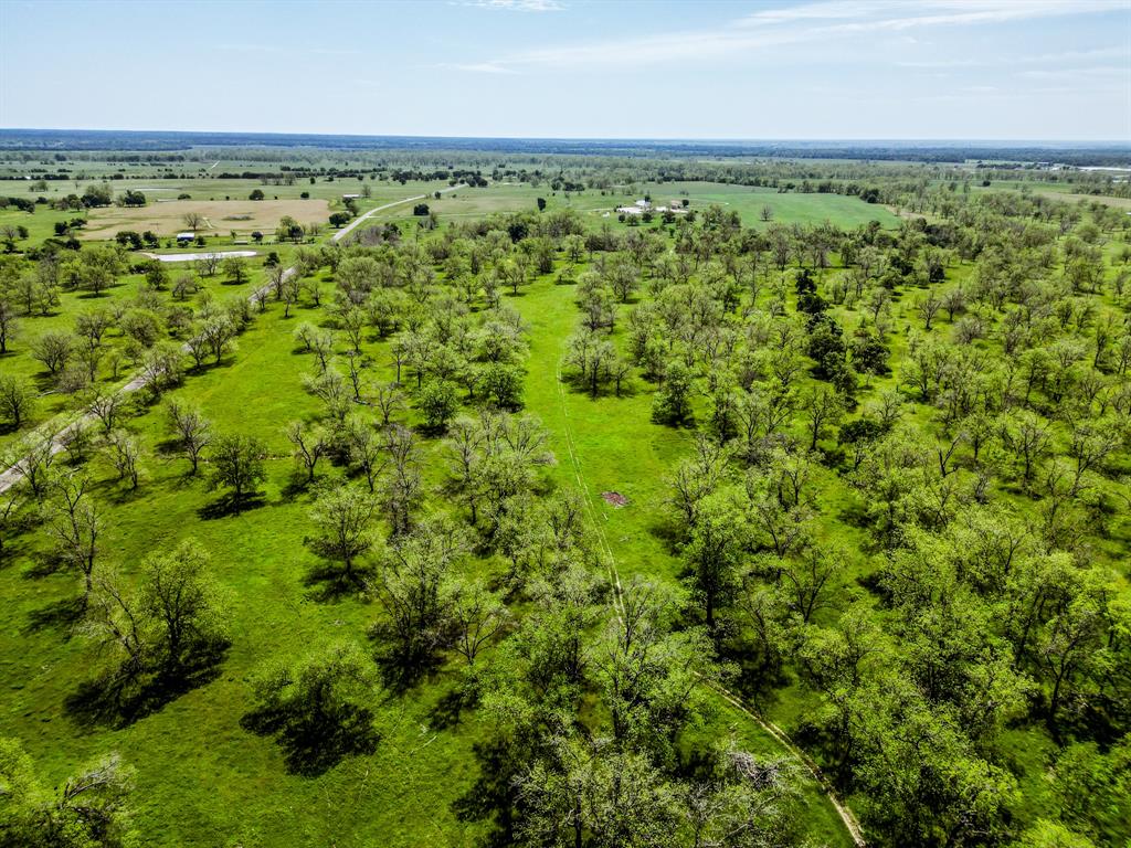 16726 Hwy 21 East, Midway, Texas image 35