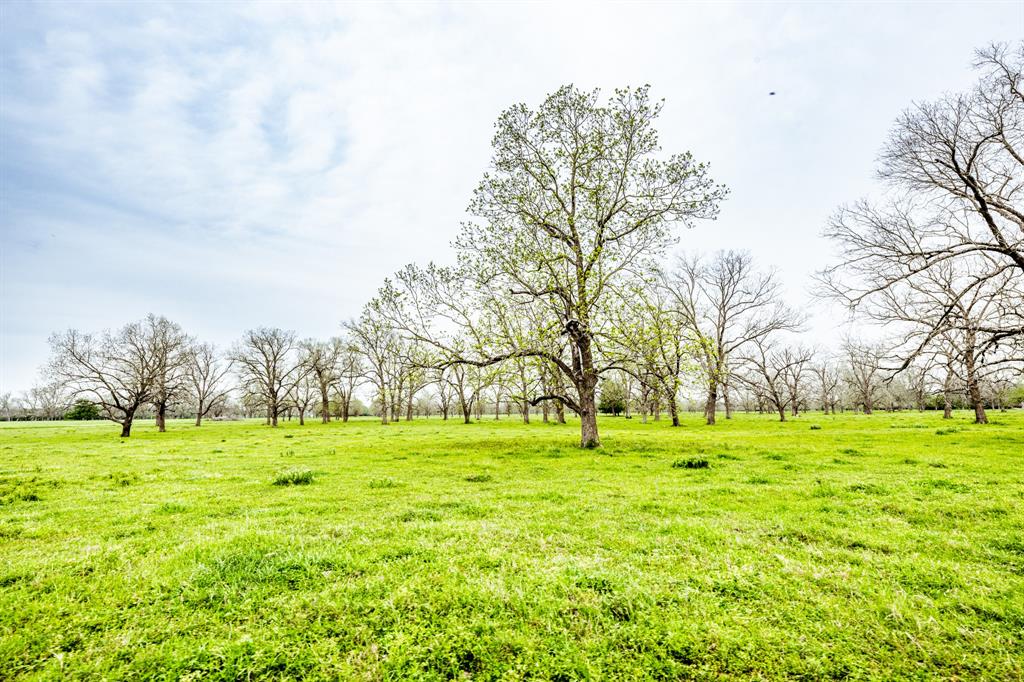 16726 Hwy 21 East, Midway, Texas image 23