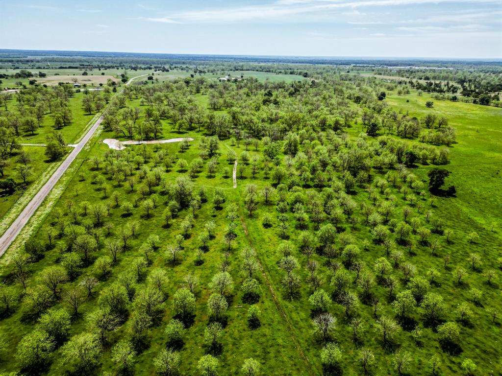 16726 Hwy 21 East, Midway, Texas image 31