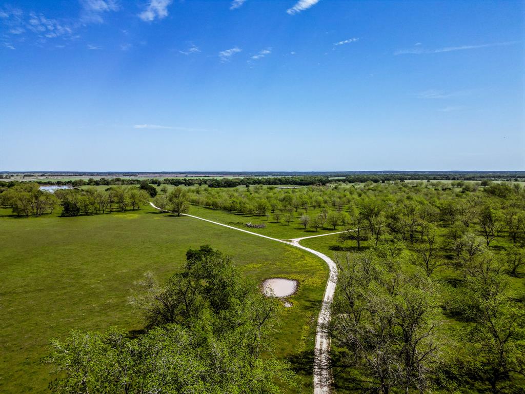 16726 Hwy 21 East, Midway, Texas image 9