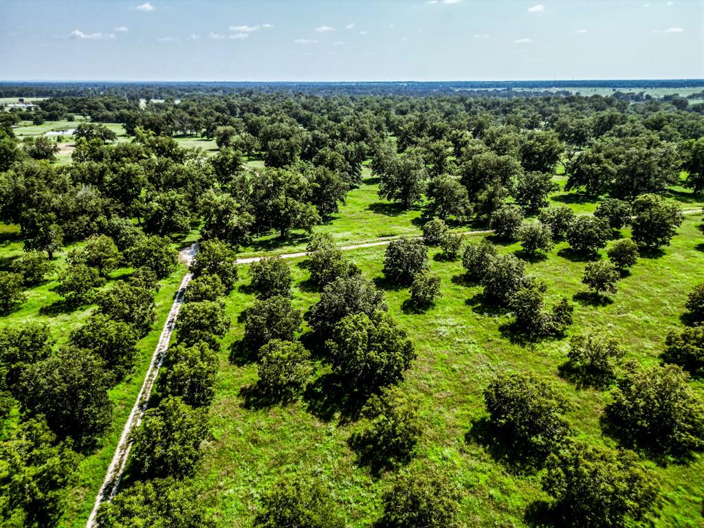 16726 Hwy 21 East, Midway, Texas image 42