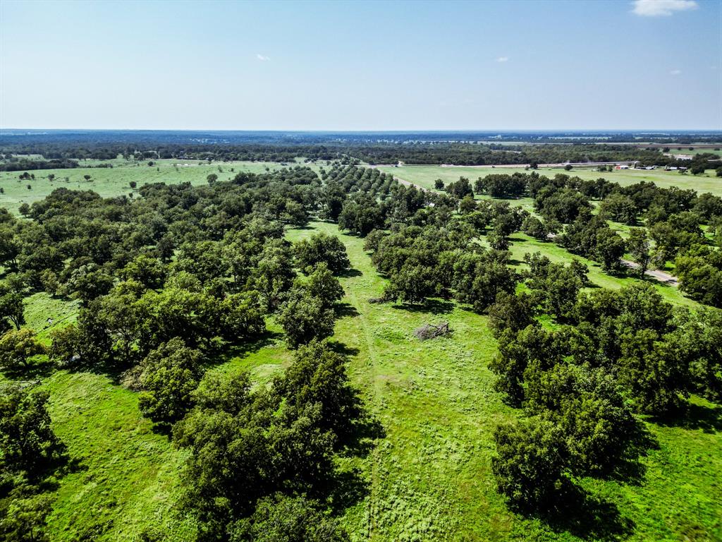 16726 Hwy 21 East, Midway, Texas image 50