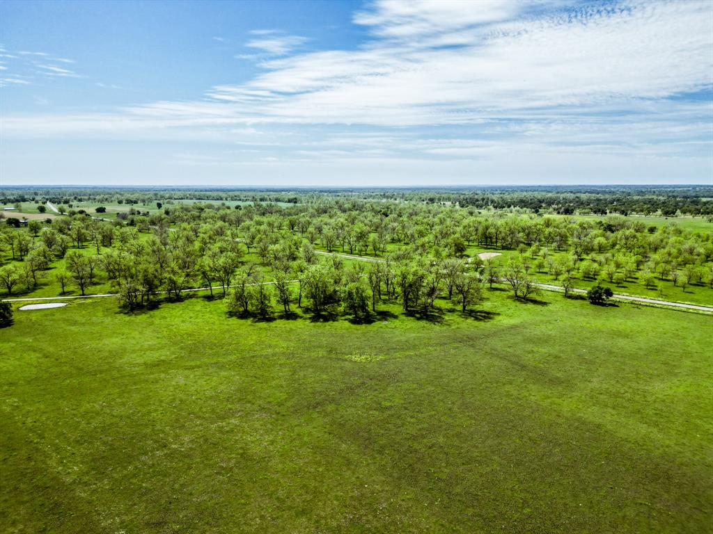 16726 Hwy 21 East, Midway, Texas image 28