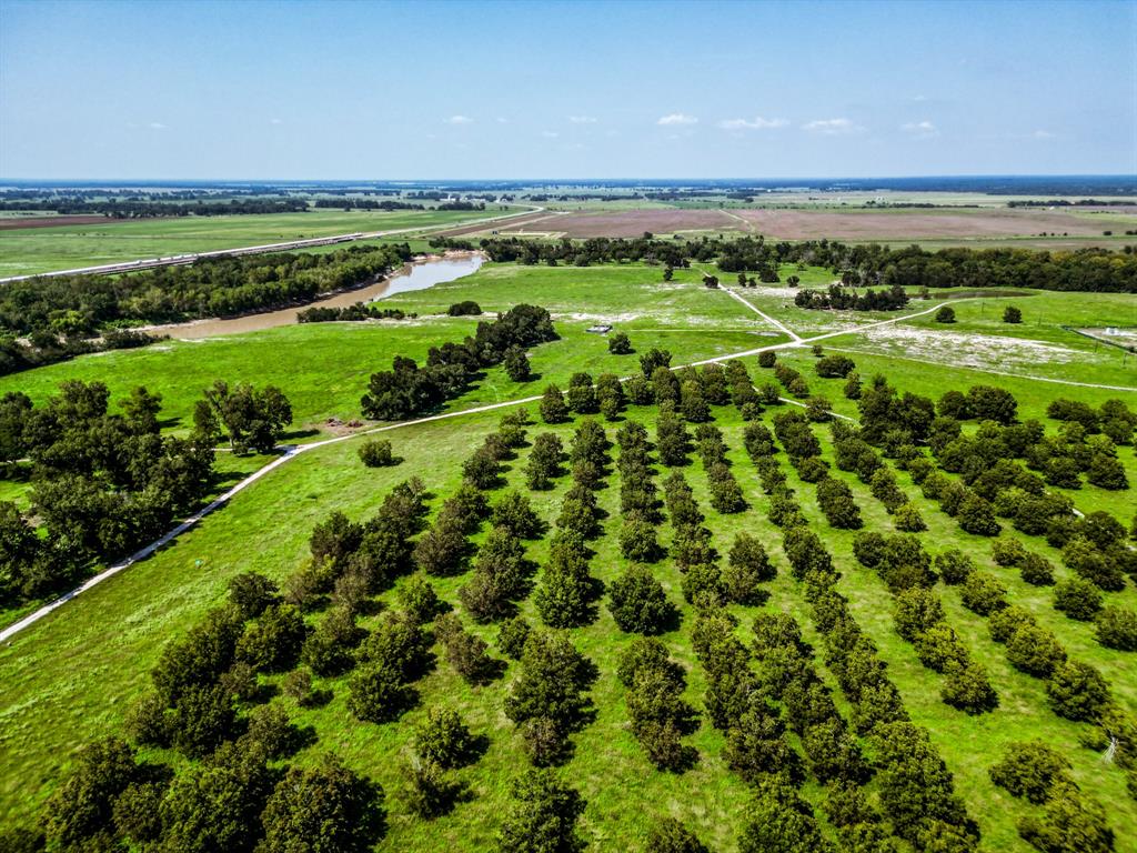 16726 Hwy 21 East, Midway, Texas image 39