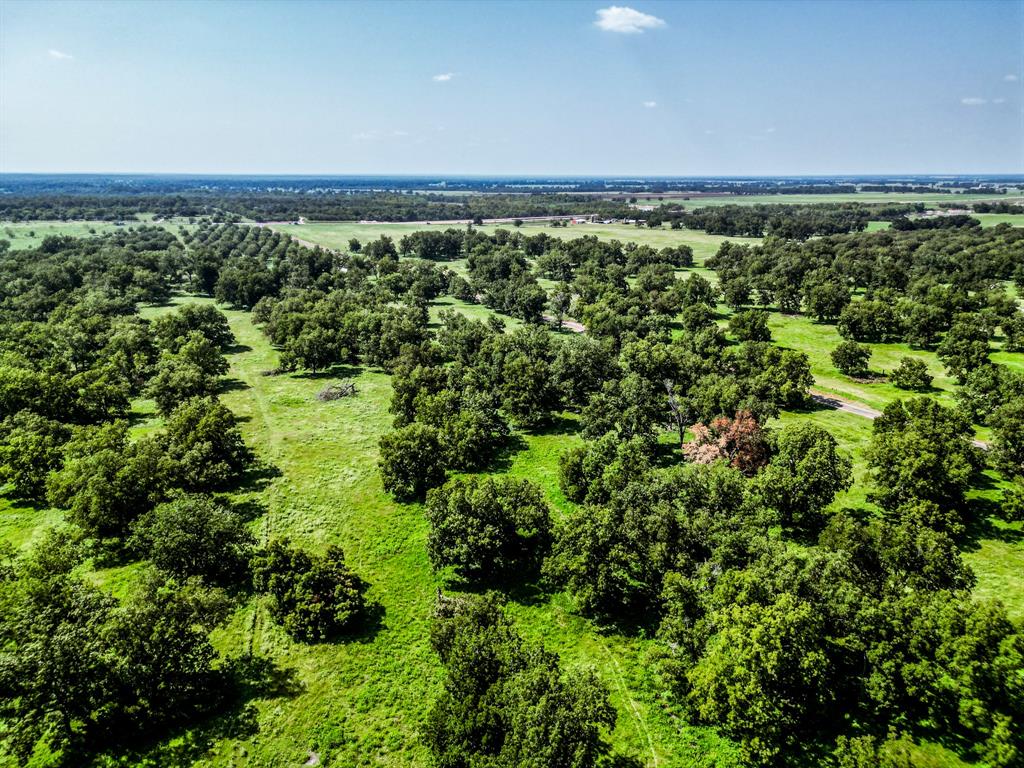 16726 Hwy 21 East, Midway, Texas image 49