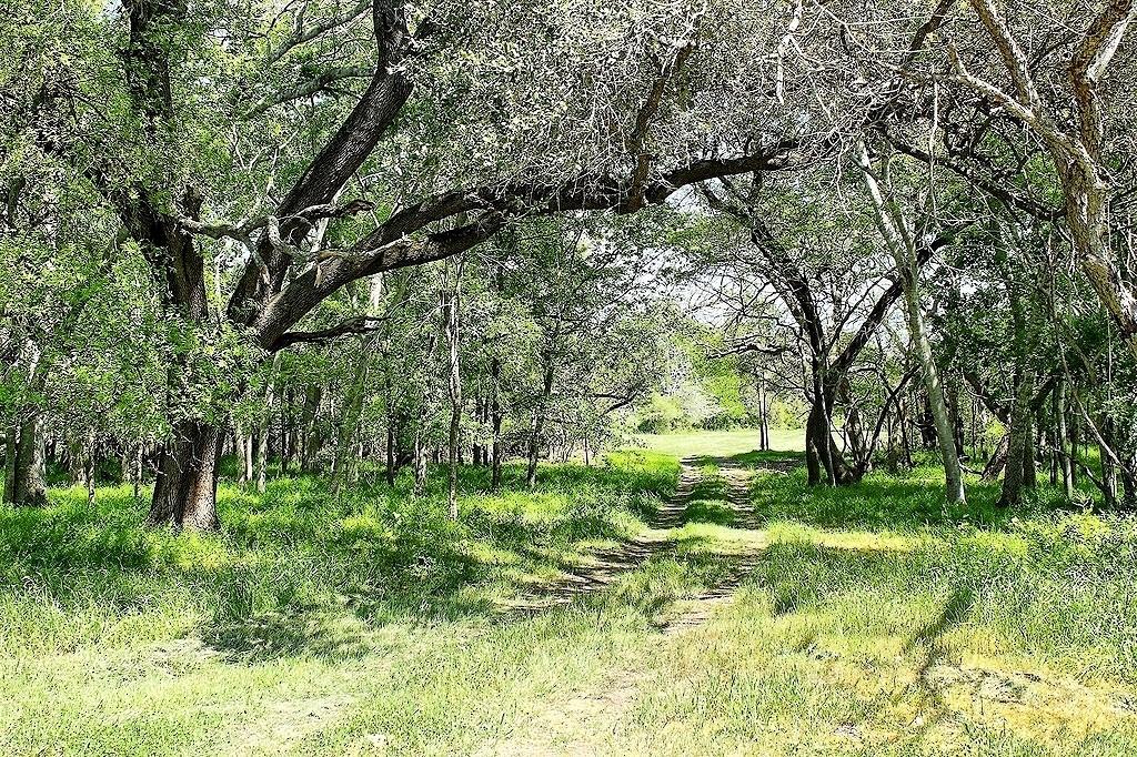 TBD Scott Road, Weimar, Texas image 11