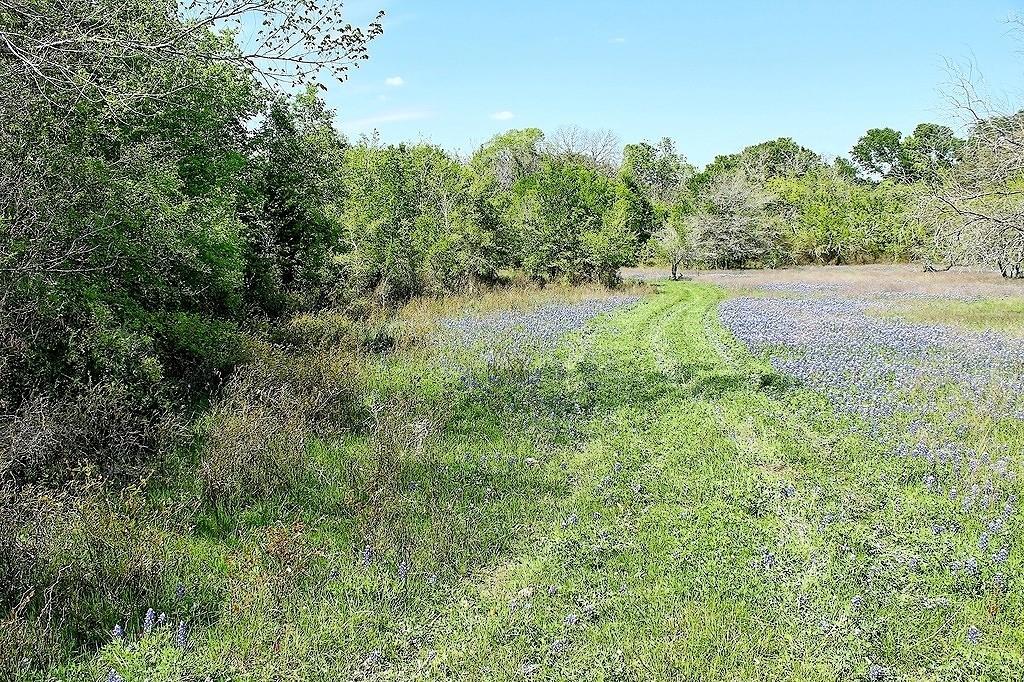 TBD Scott Road, Weimar, Texas image 10