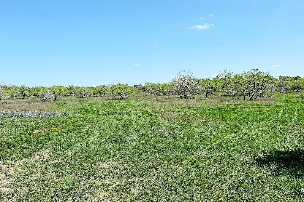 TBD Scott Road, Weimar, Texas image 4