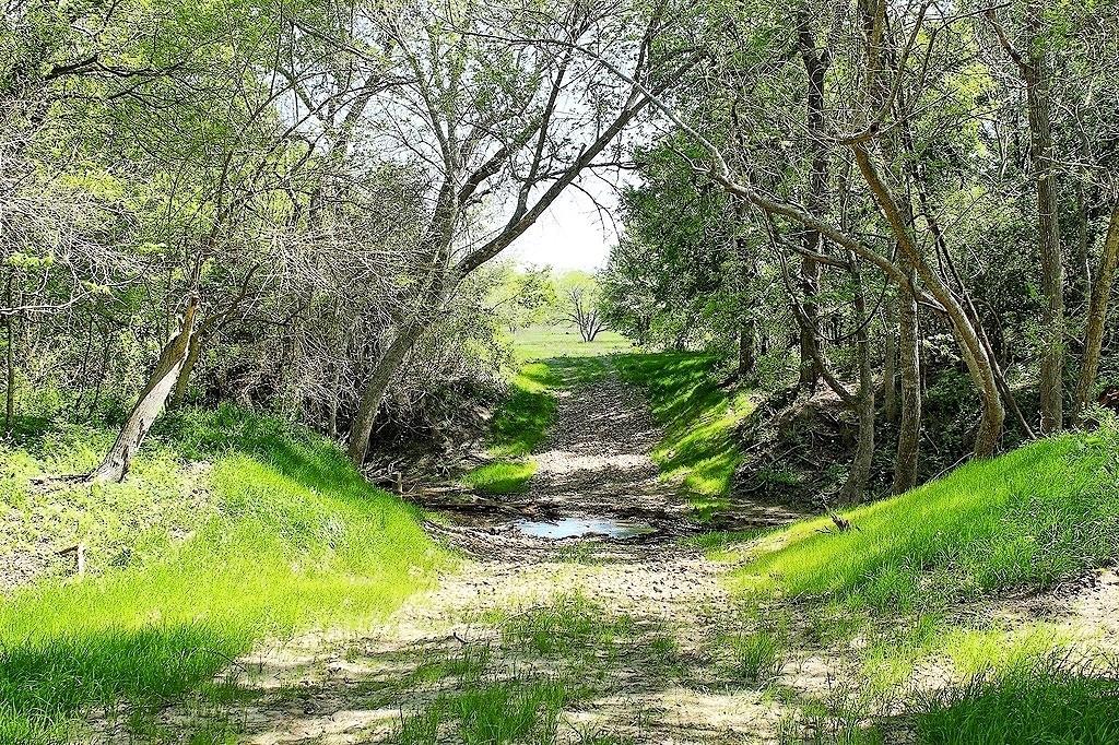 TBD Scott Road, Weimar, Texas image 9
