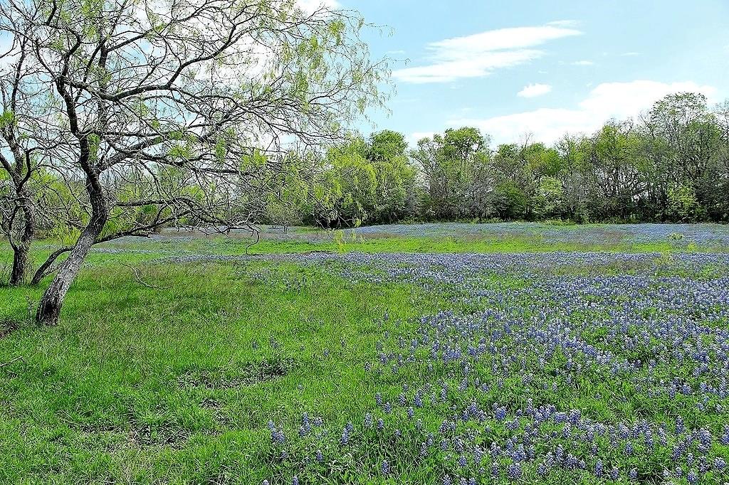TBD Scott Road, Weimar, Texas image 7