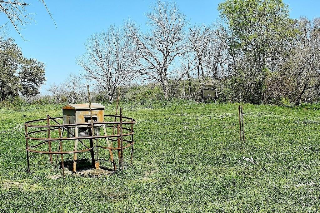 TBD Scott Road, Weimar, Texas image 15