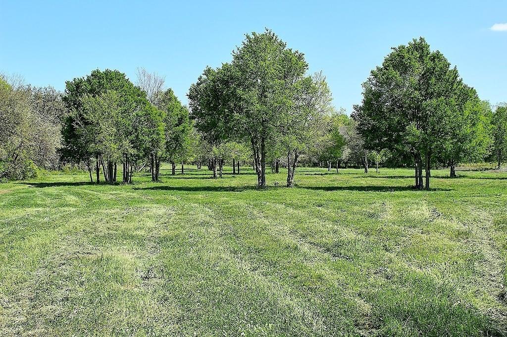 TBD Scott Road, Weimar, Texas image 12