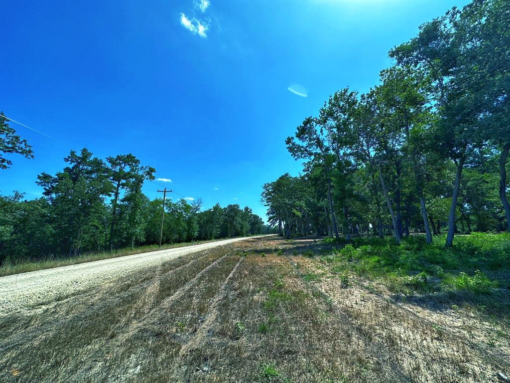 4 Ac Pr 1313, Centerville, Texas image 8