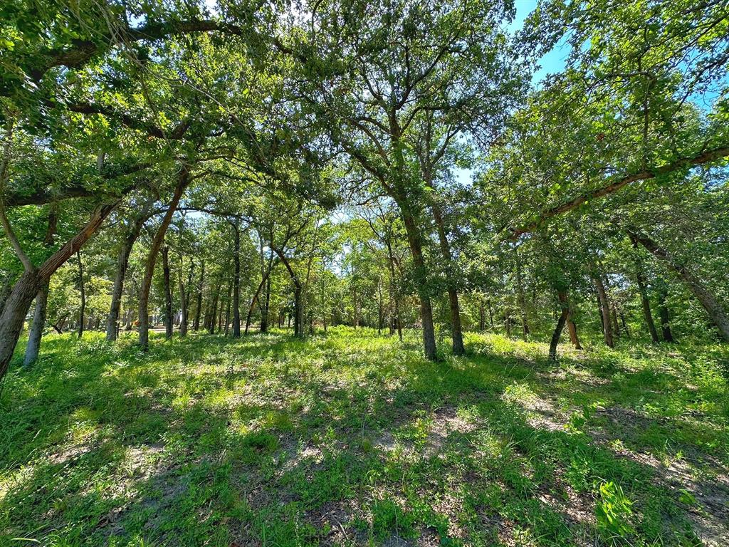 4 Ac Pr 1313, Centerville, Texas image 3