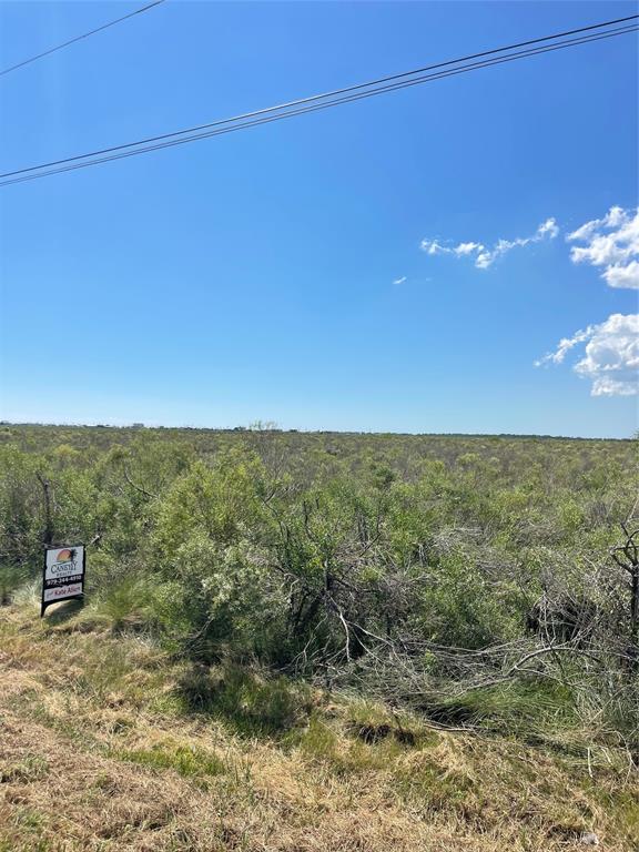 LOT 170 County Road 299 - Heron Street, Sargent, Texas image 3