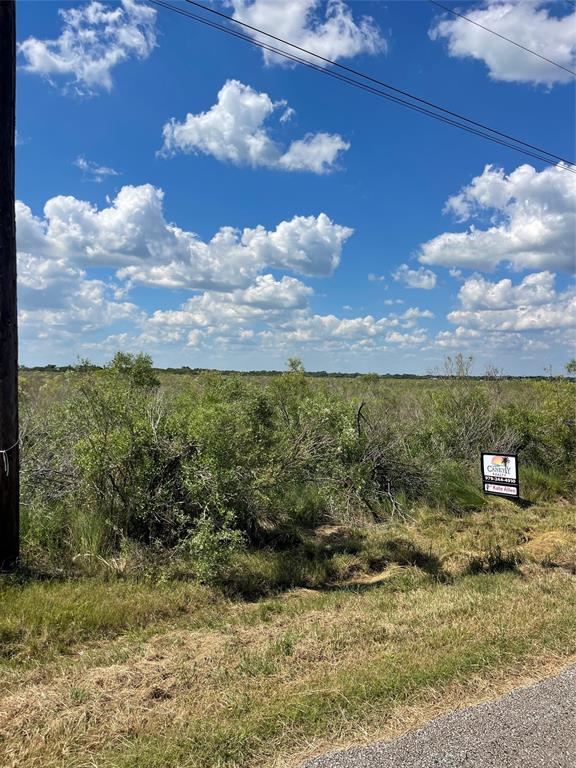 LOT 170 County Road 299 - Heron Street, Sargent, Texas image 7