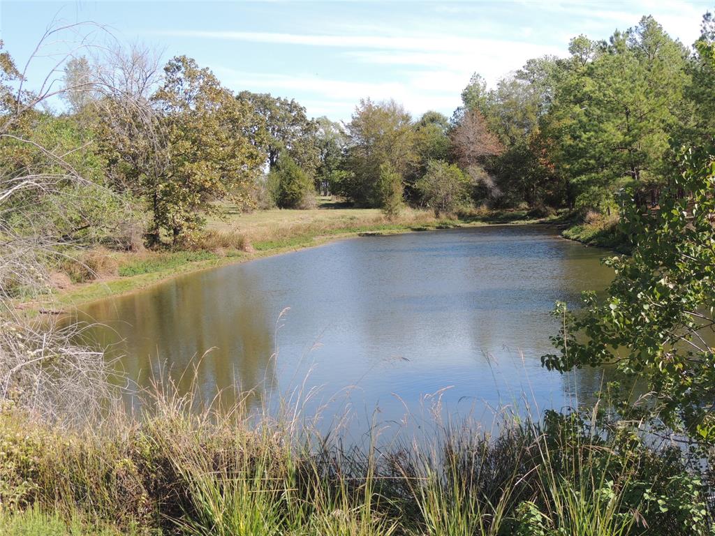 TBD N Loop 304, Crockett, Texas image 11