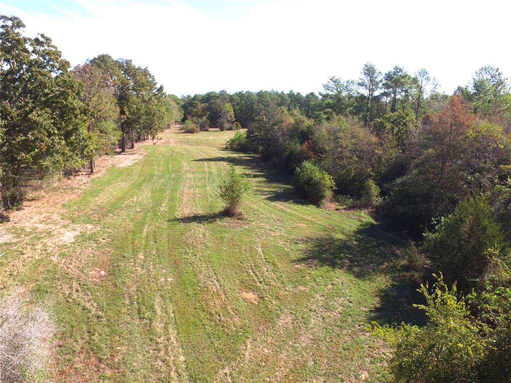 TBD N Loop 304, Crockett, Texas image 14