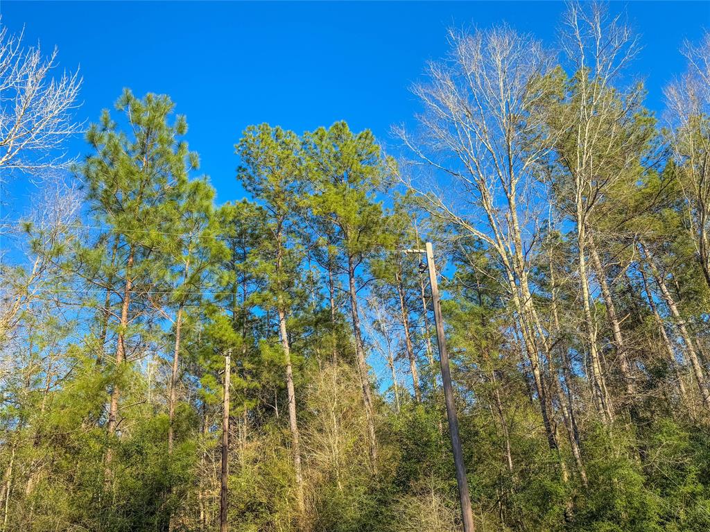 TBD Bowie Rd, Kountze, Texas image 35