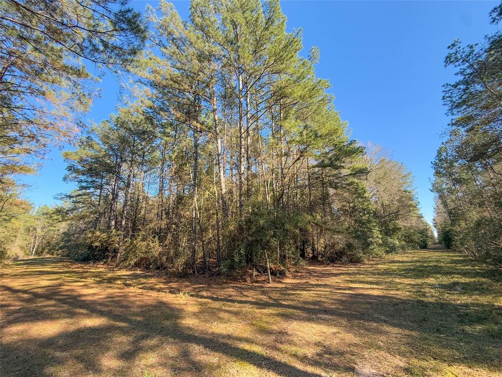 TBD Bowie Rd, Kountze, Texas image 17