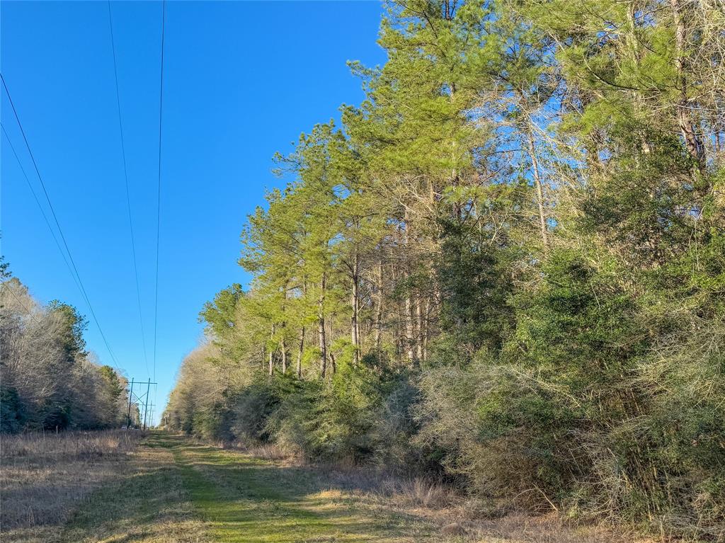 TBD Bowie Rd, Kountze, Texas image 40