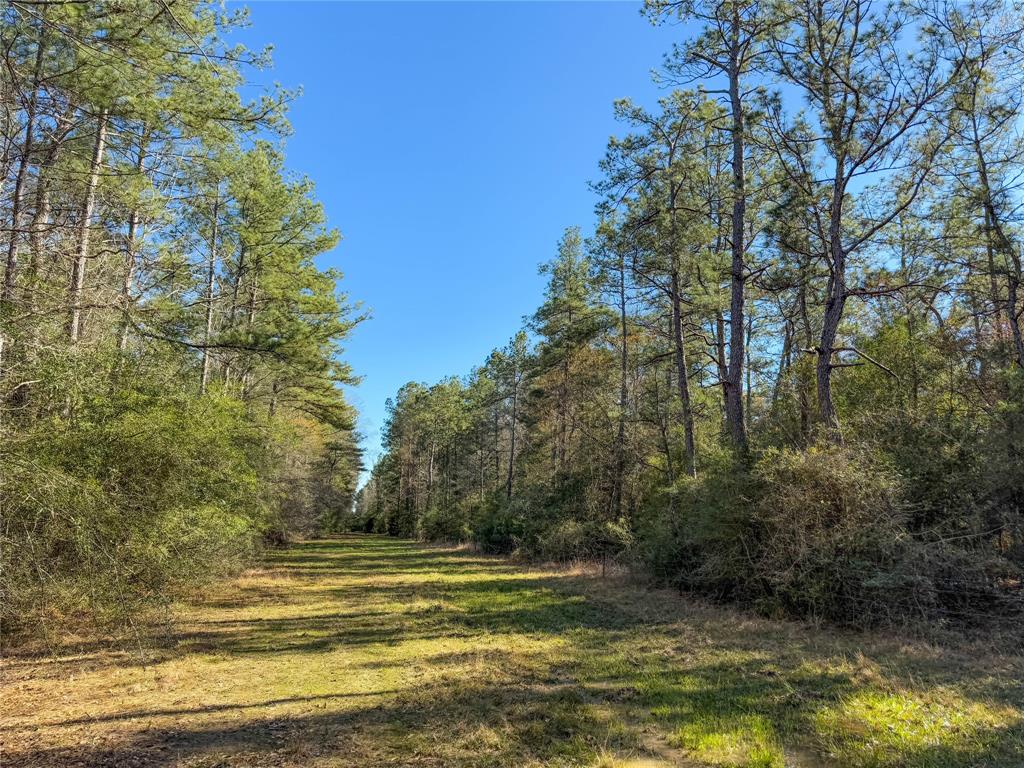 TBD Bowie Rd, Kountze, Texas image 23