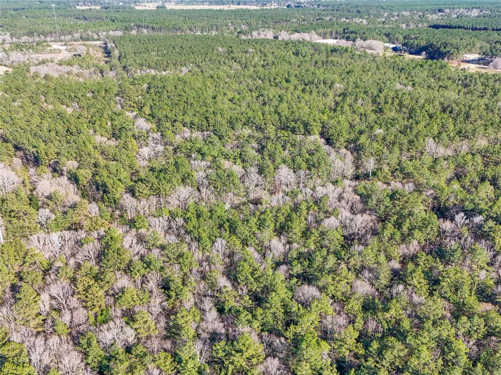 TBD Bowie Rd, Kountze, Texas image 14