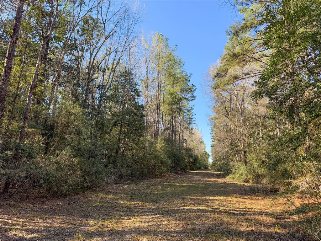 TBD Bowie Rd, Kountze, Texas image 31