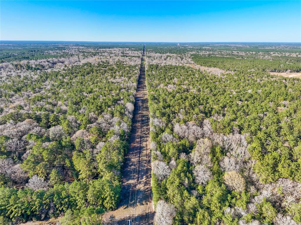 TBD Bowie Rd, Kountze, Texas image 11