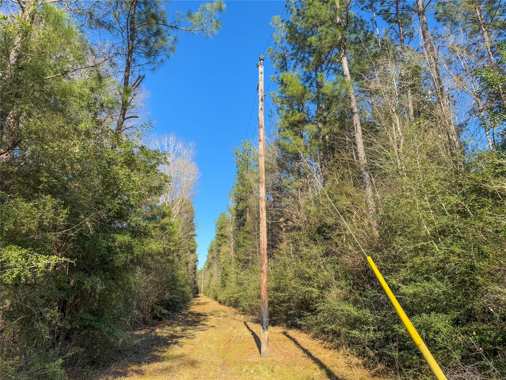 TBD Bowie Rd, Kountze, Texas image 33