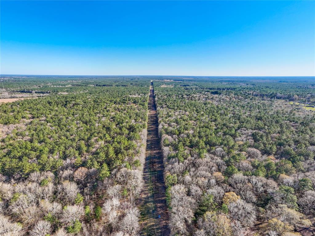 TBD Bowie Rd, Kountze, Texas image 29