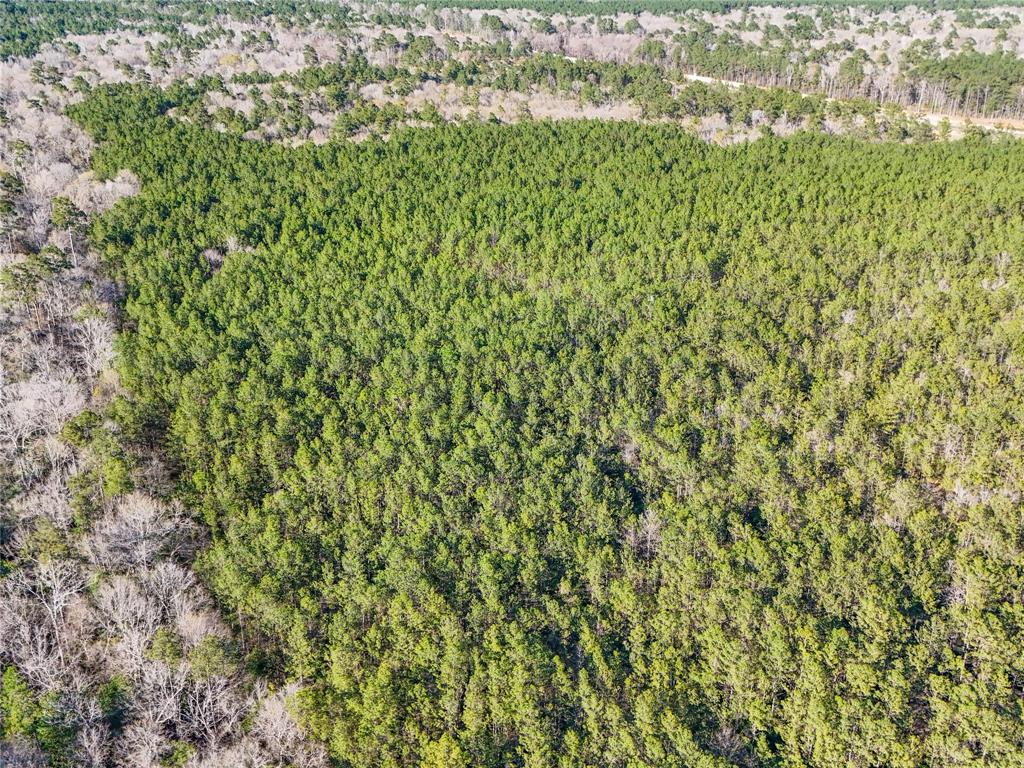 TBD Bowie Rd, Kountze, Texas image 28