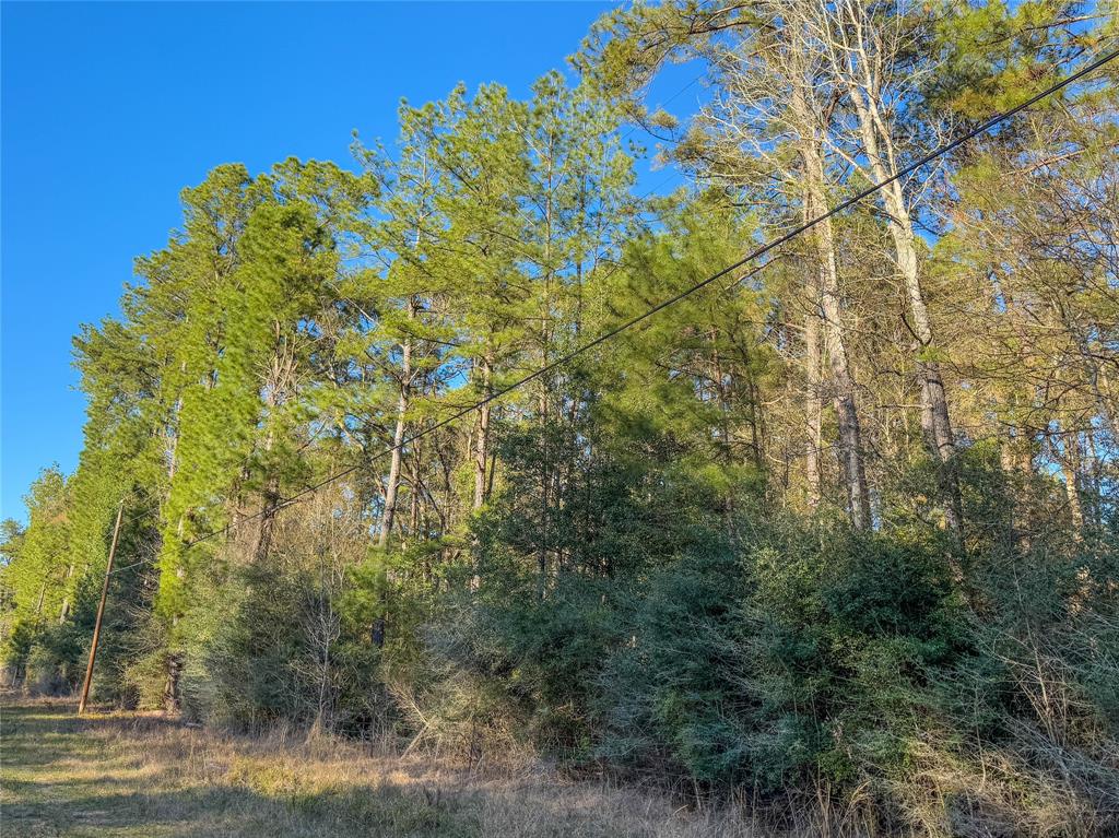 TBD Bowie Rd, Kountze, Texas image 37