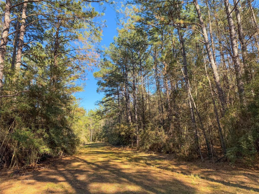 TBD Bowie Rd, Kountze, Texas image 18