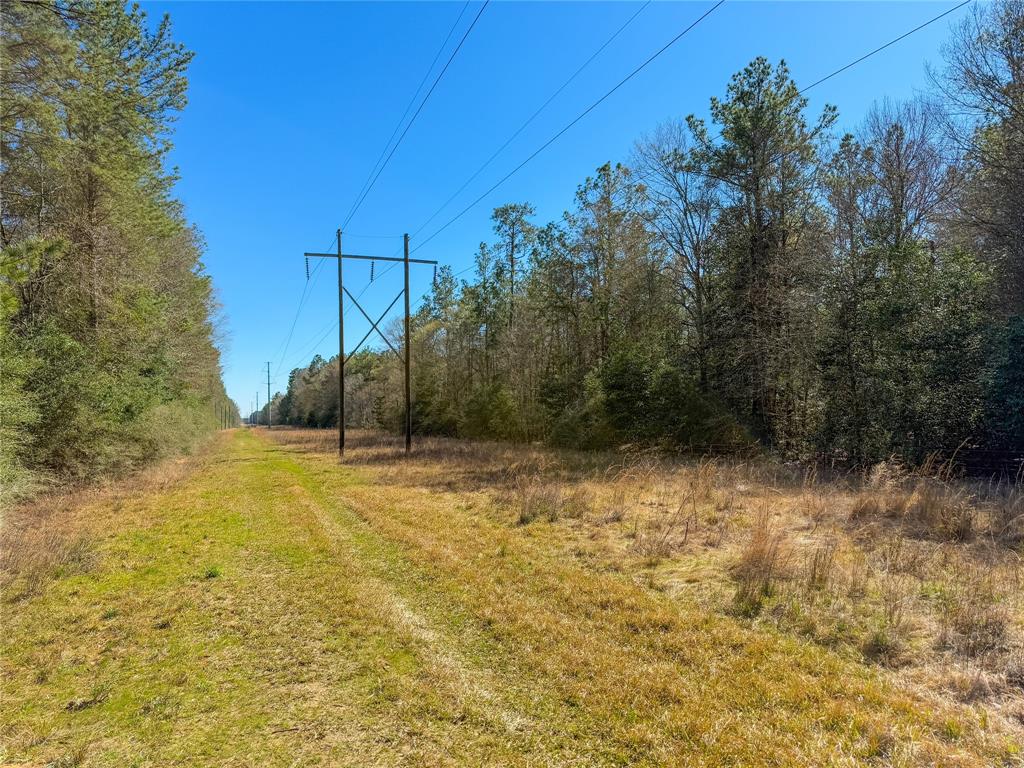 TBD Bowie Rd, Kountze, Texas image 2