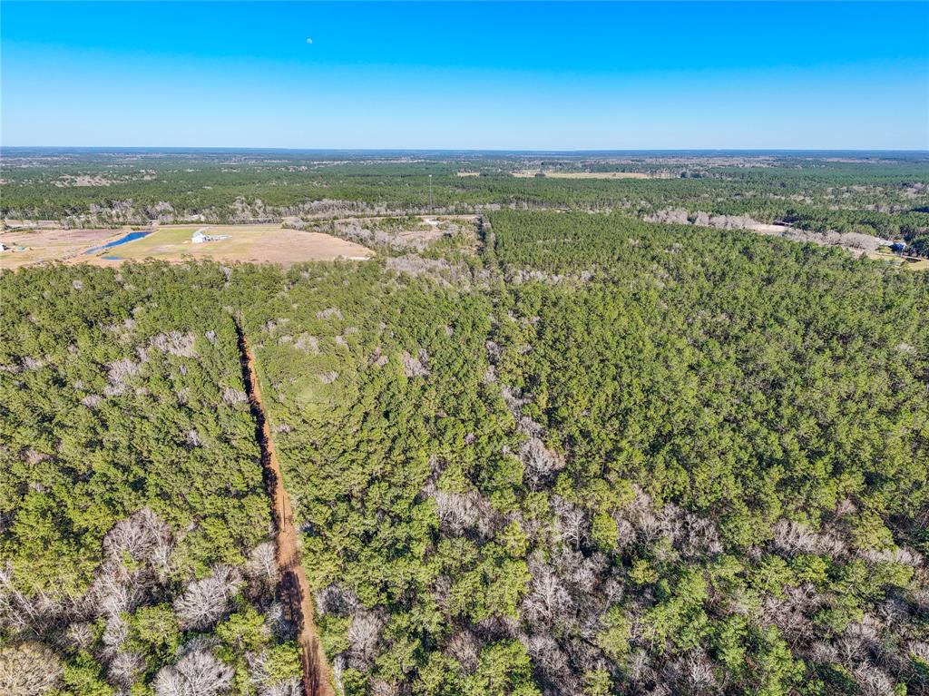 TBD Bowie Rd, Kountze, Texas image 10