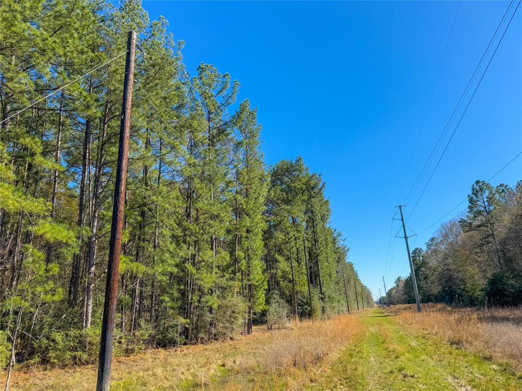 TBD Bowie Rd, Kountze, Texas image 1