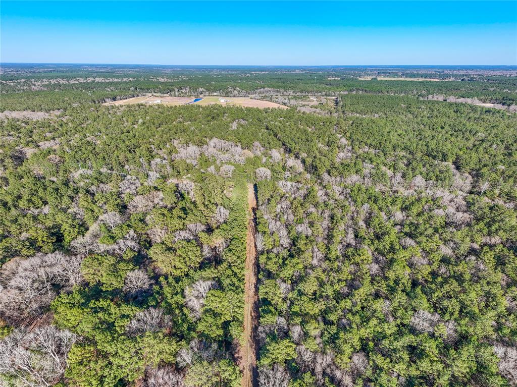 TBD Bowie Rd, Kountze, Texas image 13