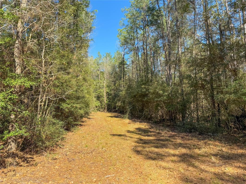 TBD Bowie Rd, Kountze, Texas image 3
