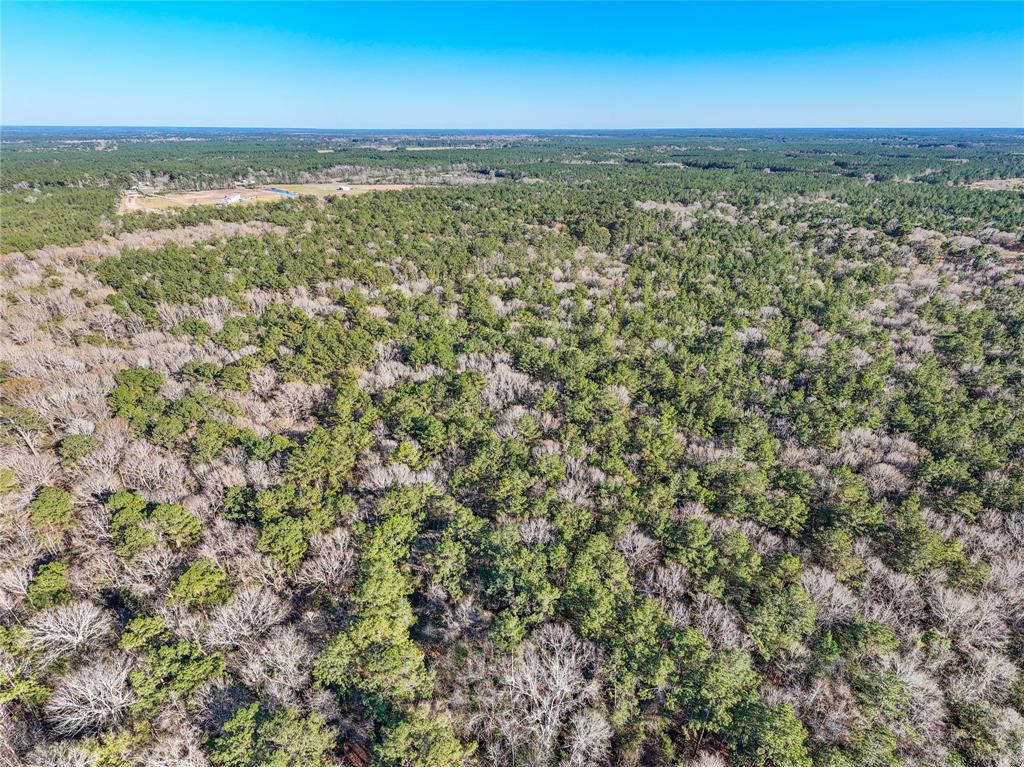 TBD Bowie Rd, Kountze, Texas image 30