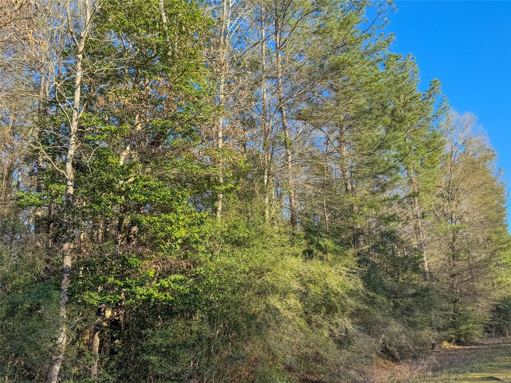 TBD Bowie Rd, Kountze, Texas image 39