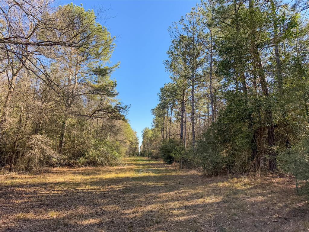 TBD Bowie Rd, Kountze, Texas image 22