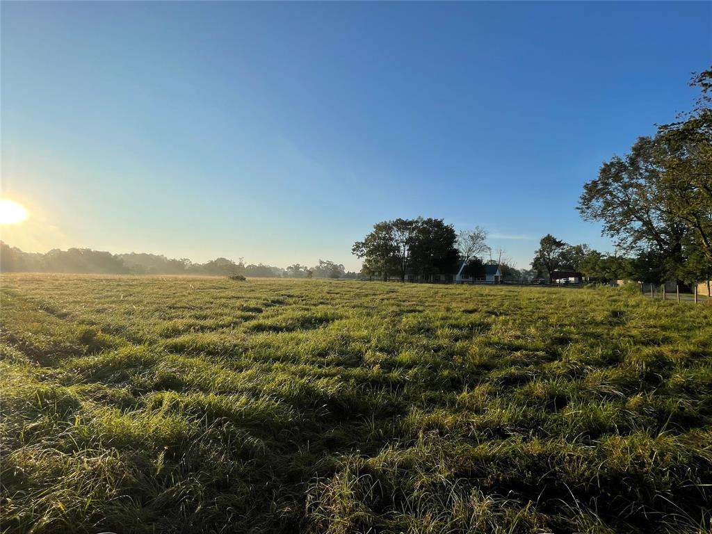 591 Burkhalter Hollow Road, Diboll, Texas image 10