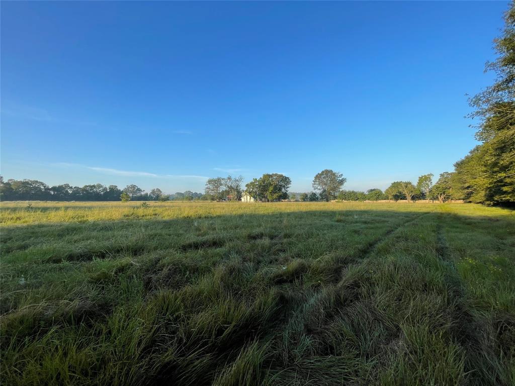 591 Burkhalter Hollow Road, Diboll, Texas image 9