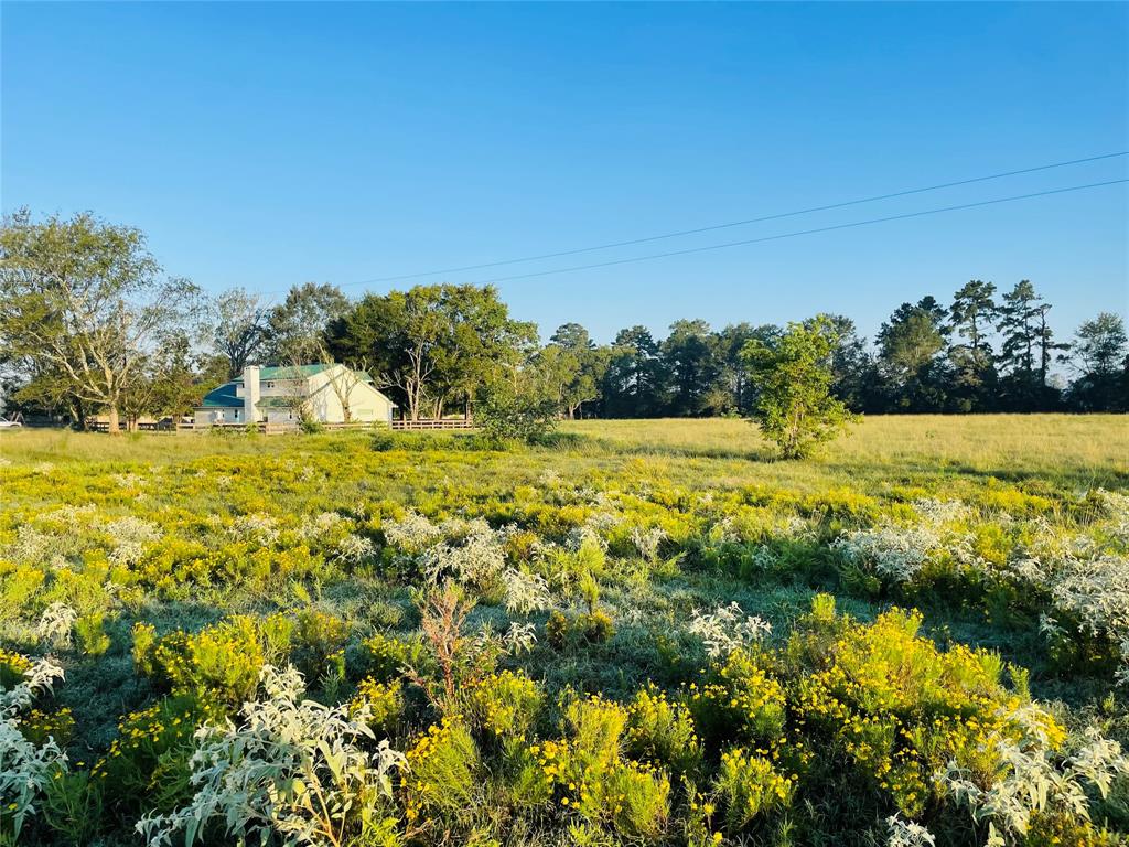 591 Burkhalter Hollow Road, Diboll, Texas image 8