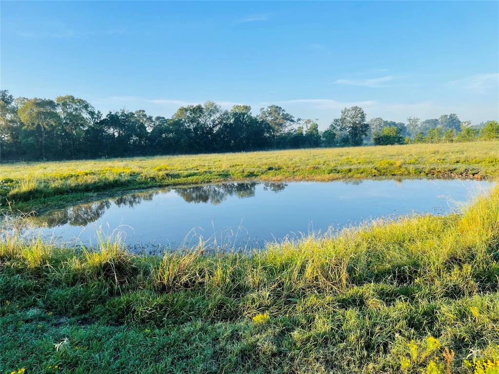 591 Burkhalter Hollow Road, Diboll, Texas image 7