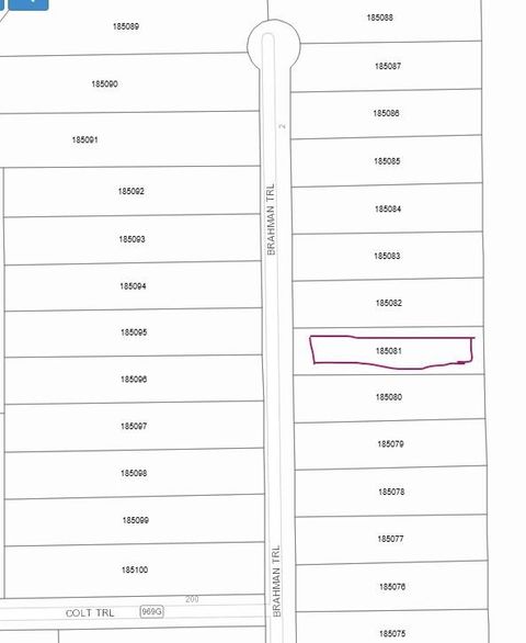 Photo of 79 Brahman Trail, Angleton, TX 77515 (MLS # 80249670)